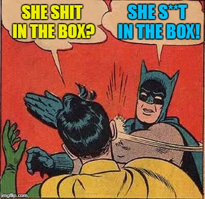 Batman Slapping Robin Meme | SHE SHIT IN THE BOX? SHE S**T IN THE BOX! | image tagged in memes,batman slapping robin | made w/ Imgflip meme maker