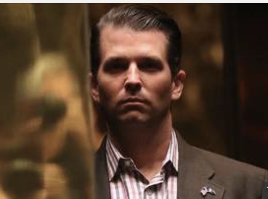 Donald Trump Jr. Blank Meme Template