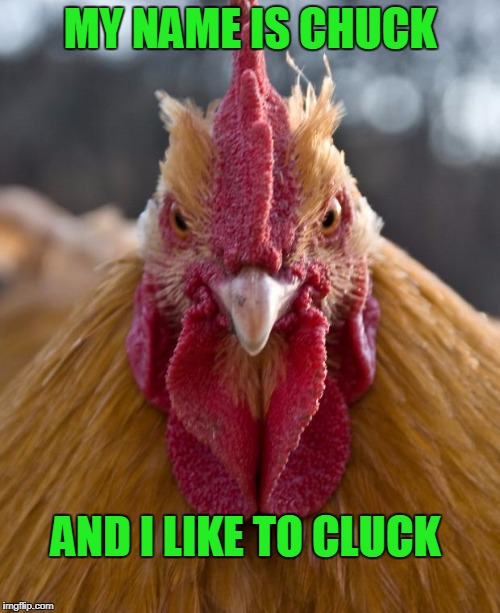 Kill Bill | MY NAME IS CHUCK; AND I LIKE TO CLUCK | image tagged in angry chicken | made w/ Imgflip meme maker