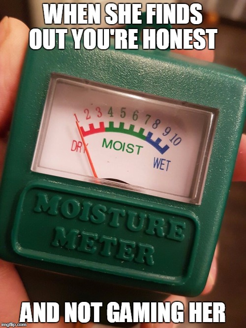 Moisture Meter when she finds out you're not gaming her | WHEN SHE FINDS OUT YOU'RE HONEST; AND NOT GAMING HER | image tagged in moisture,meter,women,gaming,honest | made w/ Imgflip meme maker