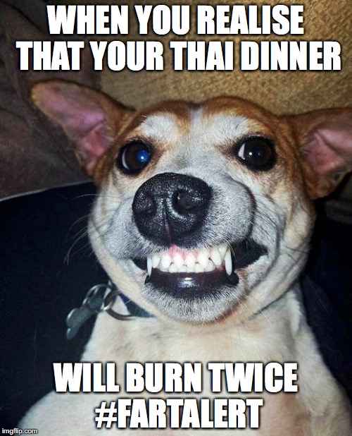 WHEN YOU REALISE THAT YOUR THAI DINNER; WILL BURN TWICE #FARTALERT | made w/ Imgflip meme maker