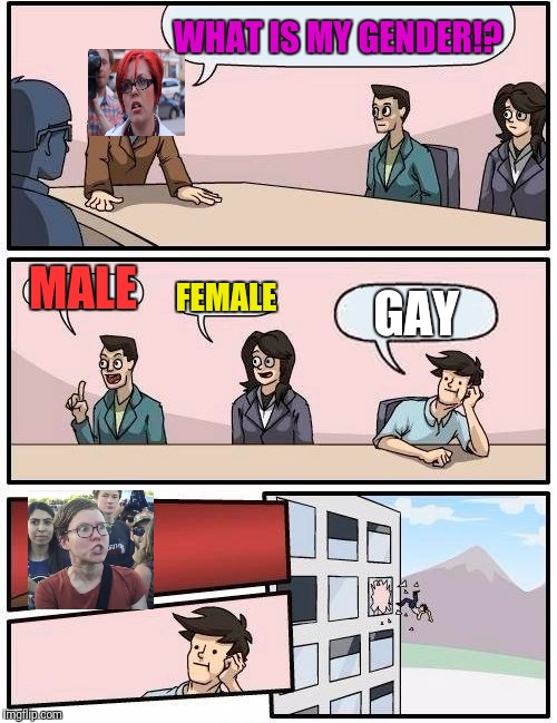 Boardroom Meeting Suggestion Meme | WHAT IS MY GENDER!? MALE; FEMALE; GAY | image tagged in memes,boardroom meeting suggestion | made w/ Imgflip meme maker