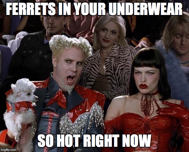 ferret legging the new big sport | FERRETS IN YOUR UNDERWEAR; SO HOT RIGHT NOW | image tagged in memes,mugatu so hot right now,ferrets,underwear | made w/ Imgflip meme maker
