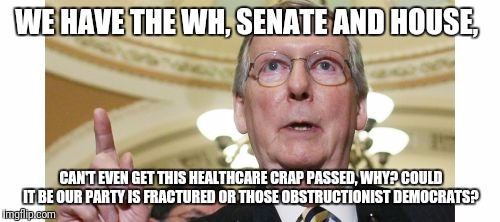 Mitch McConnell | WE HAVE THE WH, SENATE AND HOUSE, CAN'T EVEN GET THIS HEALTHCARE CRAP PASSED, WHY? COULD IT BE OUR PARTY IS FRACTURED OR THOSE OBSTRUCTIONIST DEMOCRATS? | image tagged in memes,mitch mcconnell | made w/ Imgflip meme maker