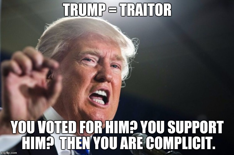 donald trump | TRUMP = TRAITOR; YOU VOTED FOR HIM? YOU SUPPORT HIM?

THEN YOU ARE COMPLICIT. | image tagged in donald trump | made w/ Imgflip meme maker