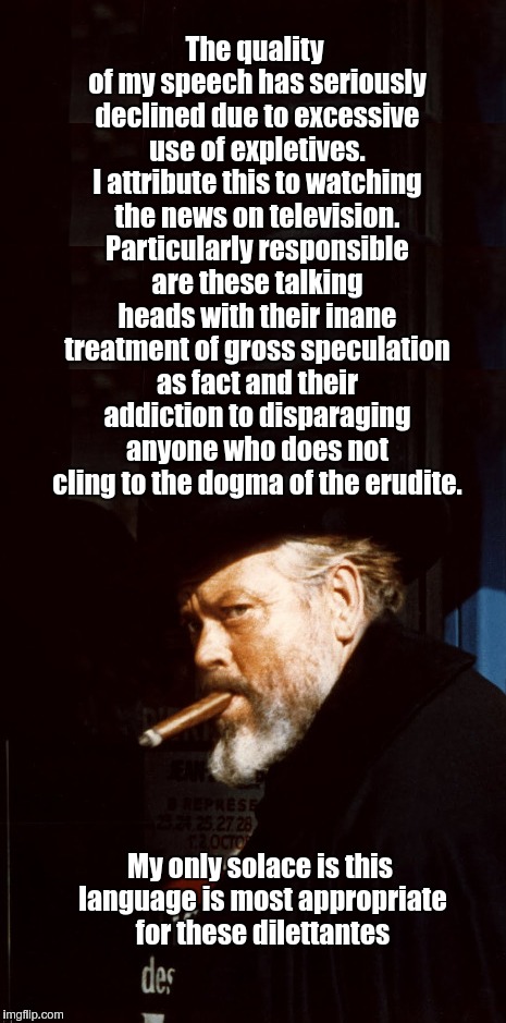 Some thoughts... .. . | The quality of my speech has seriously declined due to excessive use of expletives. I attribute this to watching the news on television. Particularly responsible are these talking heads with their inane treatment of gross speculation as fact and their addiction to disparaging anyone who does not cling to the dogma of the erudite. My only solace is this language is most appropriate for these dilettantes | image tagged in biased media | made w/ Imgflip meme maker