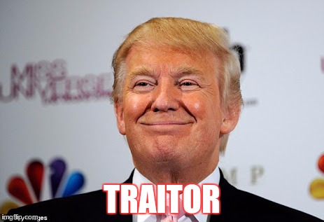 Donald trump approves | TRAITOR | image tagged in donald trump approves | made w/ Imgflip meme maker