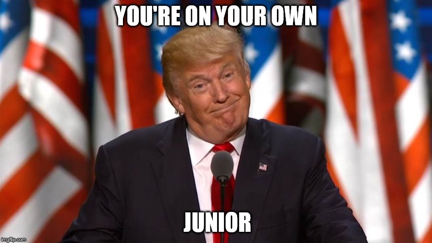 YOU'RE ON YOUR OWN; JUNIOR | image tagged in memes | made w/ Imgflip meme maker