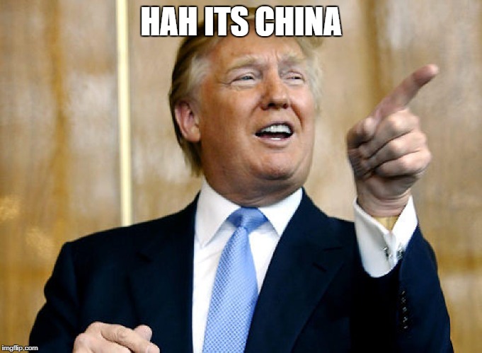 Donald Trump Pointing | HAH ITS CHINA | image tagged in donald trump pointing | made w/ Imgflip meme maker