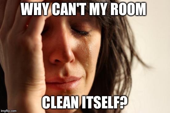 First World Problems | WHY CAN'T MY ROOM; CLEAN ITSELF? | image tagged in memes,first world problems | made w/ Imgflip meme maker