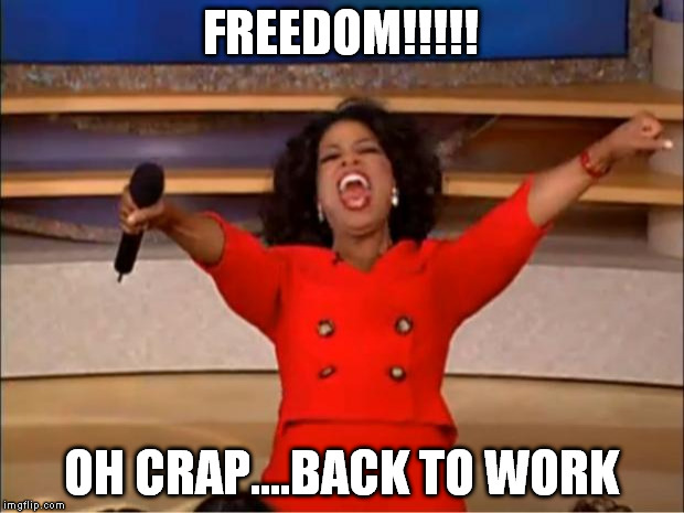 Oprah You Get A | FREEDOM!!!!! OH CRAP....BACK TO WORK | image tagged in memes,oprah you get a | made w/ Imgflip meme maker