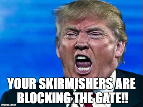 Your skirmishers are blocking the gate! | YOUR SKIRMISHERS ARE BLOCKING THE GATE!! | image tagged in empire | made w/ Imgflip meme maker