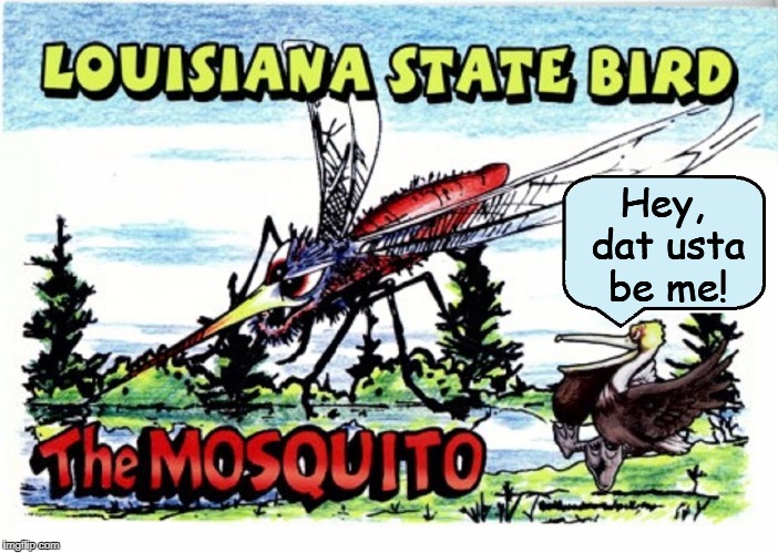 Meanwhile, down on the Bayou | Hey, dat usta be me! | image tagged in vince vance,pelican,mosquito,mosquito attack,louisiana state bird the mosquito,draining the swamp | made w/ Imgflip meme maker