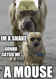 I'm a snake | IM A SNAKE; GONNA CATCH ME; A MOUSE | image tagged in memes,snake,youtuber,featured,hot | made w/ Imgflip meme maker