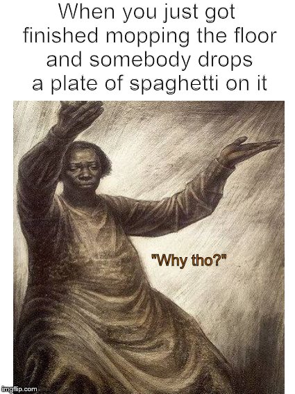 Why tho'? | When you just got finished mopping the floor and somebody drops a plate of spaghetti on it; "Why tho?" | image tagged in funny memes,but why tho,spaghetti,why,mop,memes | made w/ Imgflip meme maker