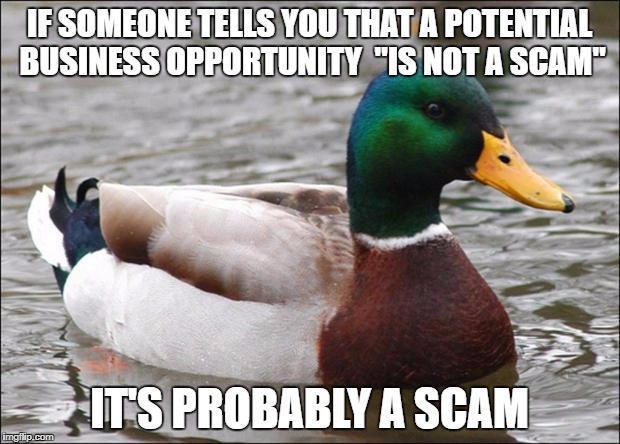 Good Advice mallard | IF SOMEONE TELLS YOU THAT A POTENTIAL BUSINESS OPPORTUNITY  "IS NOT A SCAM"; IT'S PROBABLY A SCAM | image tagged in good advice mallard,AdviceAnimals | made w/ Imgflip meme maker