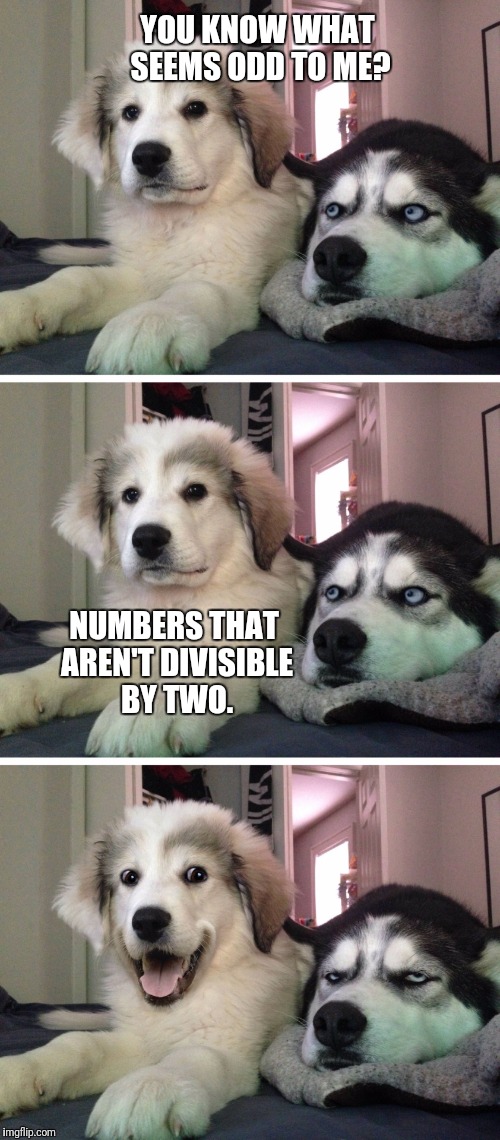 Bad pun dogs | YOU KNOW WHAT SEEMS ODD TO ME? NUMBERS THAT AREN'T DIVISIBLE BY TWO. | image tagged in bad pun dogs | made w/ Imgflip meme maker