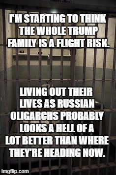 prisoncell | I'M STARTING TO THINK THE WHOLE TRUMP FAMILY IS A FLIGHT RISK. LIVING OUT THEIR LIVES AS RUSSIAN OLIGARCHS PROBABLY LOOKS A HELL OF A LOT BETTER THAN WHERE THEY'RE HEADING NOW. | image tagged in prisoncell | made w/ Imgflip meme maker