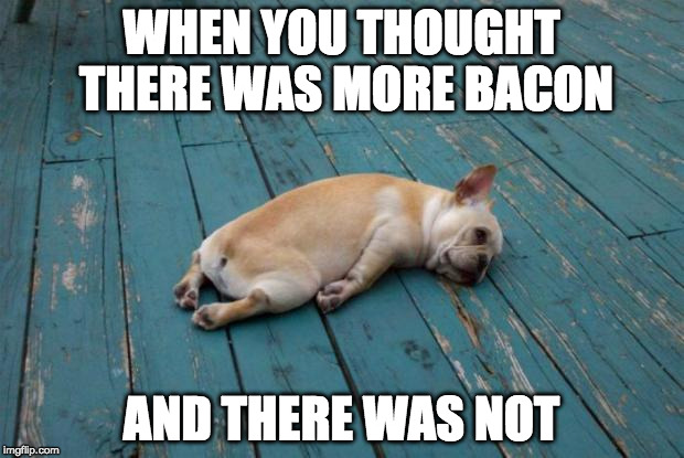 NOOOOOOOOOOOO!!!! | WHEN YOU THOUGHT THERE WAS MORE BACON; AND THERE WAS NOT | image tagged in tired dog,iwanttobebacon,iwanttobebaconcom,when you thought | made w/ Imgflip meme maker