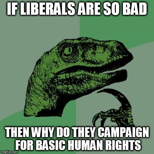 Philosoraptor | IF LIBERALS ARE SO BAD; THEN WHY DO THEY CAMPAIGN FOR BASIC HUMAN RIGHTS | image tagged in memes,philosoraptor,liberal,liberals,human rights,basic human rights | made w/ Imgflip meme maker