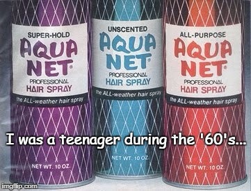 I was a teenager during the '60's... | image tagged in teenagers,60's,hair,big,spray | made w/ Imgflip meme maker