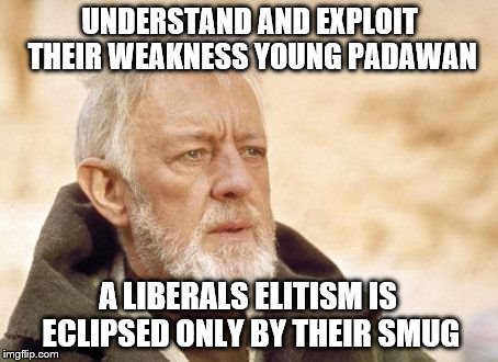 Making Tatooine great again | UNDERSTAND AND EXPLOIT THEIR WEAKNESS YOUNG PADAWAN; A LIBERALS ELITISM IS ECLIPSED ONLY BY THEIR SMUG | image tagged in memes,obi wan kenobi | made w/ Imgflip meme maker