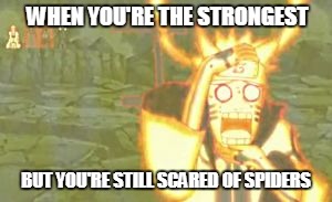 WHEN YOU'RE THE STRONGEST; BUT YOU'RE STILL SCARED OF SPIDERS | image tagged in when you're the strongest but,naruto,spiders | made w/ Imgflip meme maker