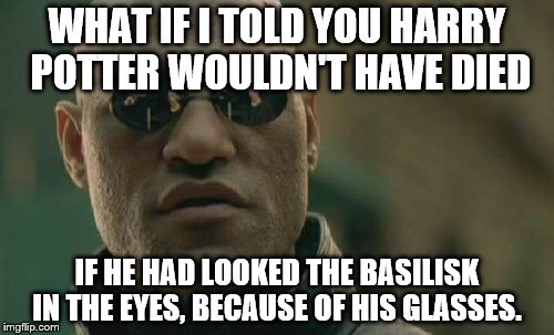 Matrix Morpheus Meme | WHAT IF I TOLD YOU HARRY POTTER WOULDN'T HAVE DIED; IF HE HAD LOOKED THE BASILISK IN THE EYES, BECAUSE OF HIS GLASSES. | image tagged in memes,matrix morpheus | made w/ Imgflip meme maker