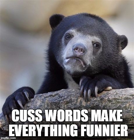 Confession Bear Meme | CUSS WORDS MAKE EVERYTHING FUNNIER | image tagged in memes,confession bear | made w/ Imgflip meme maker