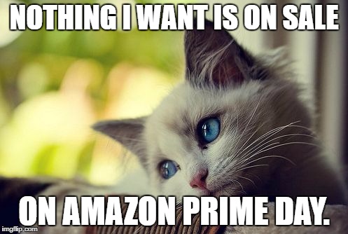 First World Problems Cat on Amazon | NOTHING I WANT IS ON SALE; ON AMAZON PRIME DAY. | image tagged in memes,first world problems cat,amazon | made w/ Imgflip meme maker