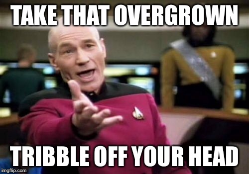 Picard Wtf Meme | TAKE THAT OVERGROWN TRIBBLE OFF YOUR HEAD | image tagged in memes,picard wtf | made w/ Imgflip meme maker