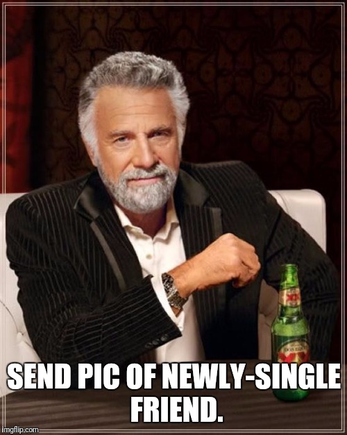 The Most Interesting Man In The World Meme | SEND PIC OF NEWLY-SINGLE FRIEND. | image tagged in memes,the most interesting man in the world | made w/ Imgflip meme maker