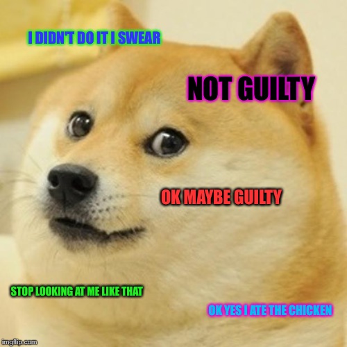 Doge Meme | I DIDN'T DO IT I SWEAR; NOT GUILTY; OK MAYBE GUILTY; STOP LOOKING AT ME LIKE THAT; OK YES I ATE THE CHICKEN | image tagged in memes,doge | made w/ Imgflip meme maker