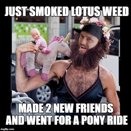 JUST SMOKED LOTUS WEED; MADE 2 NEW FRIENDS AND WENT FOR A PONY RIDE | image tagged in lotus apothecary,recweed,lotus cannabis,oregon,lotus og,breathfire | made w/ Imgflip meme maker