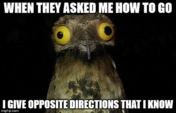 Weird Stuff I Do Potoo | WHEN THEY ASKED ME HOW TO GO; I GIVE OPPOSITE DIRECTIONS THAT I KNOW | image tagged in weird stuff i do potoo | made w/ Imgflip meme maker