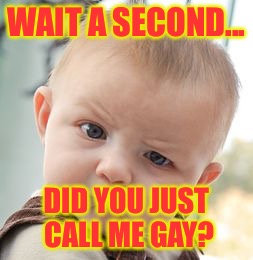 Skeptical Baby | WAIT A SECOND... DID YOU JUST CALL ME GAY? | image tagged in memes,skeptical baby | made w/ Imgflip meme maker