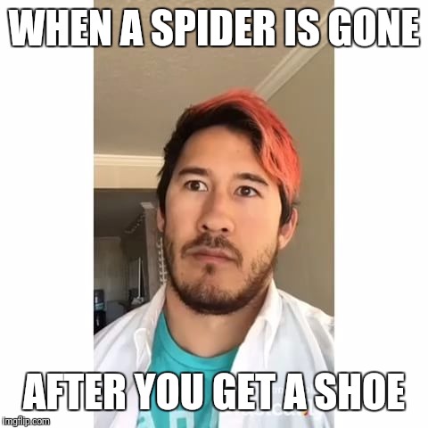 WHEN A SPIDER IS GONE; AFTER YOU GET A SHOE | image tagged in memes | made w/ Imgflip meme maker