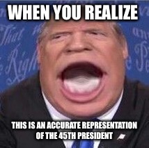 WHEN YOU REALIZE; THIS IS AN ACCURATE REPRESENTATION OF THE 45TH PRESIDENT | image tagged in memes | made w/ Imgflip meme maker