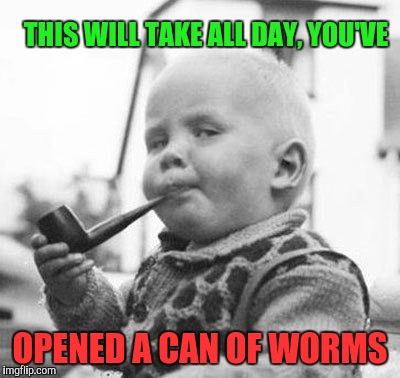 Think About It | THIS WILL TAKE ALL DAY, YOU'VE OPENED A CAN OF WORMS | image tagged in think about it | made w/ Imgflip meme maker