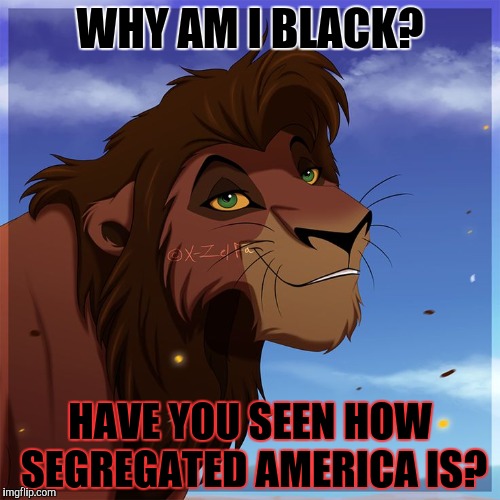 WHY AM I BLACK? HAVE YOU SEEN HOW SEGREGATED AMERICA IS? | made w/ Imgflip meme maker