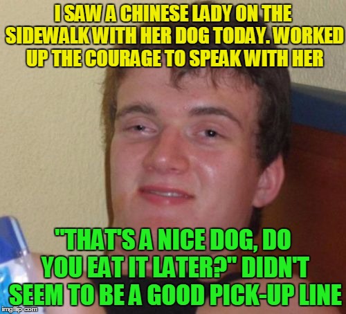 10 Guy | I SAW A CHINESE LADY ON THE SIDEWALK WITH HER DOG TODAY. WORKED UP THE COURAGE TO SPEAK WITH HER; "THAT'S A NICE DOG, DO YOU EAT IT LATER?" DIDN'T SEEM TO BE A GOOD PICK-UP LINE | image tagged in memes,10 guy,funny,chinese food,dogs | made w/ Imgflip meme maker