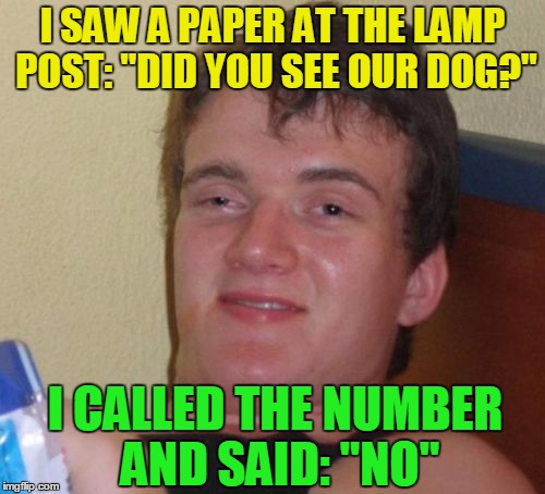 10 guy tries to help where he can | I SAW A PAPER AT THE LAMP POST: "DID YOU SEE OUR DOG?"; I CALLED THE NUMBER AND SAID: "NO" | image tagged in memes,10 guy,funny,dogs | made w/ Imgflip meme maker