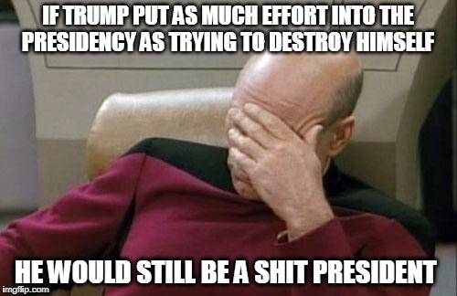 Captain Picard Facepalm | IF TRUMP PUT AS MUCH EFFORT INTO THE PRESIDENCY AS TRYING TO DESTROY HIMSELF; HE WOULD STILL BE A SHIT PRESIDENT | image tagged in memes,captain picard facepalm | made w/ Imgflip meme maker