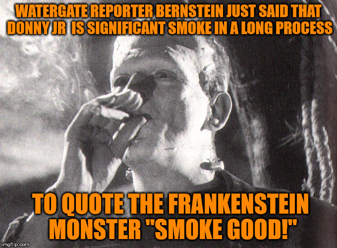 To see the Witch through the Torches  | WATERGATE REPORTER BERNSTEIN JUST SAID THAT DONNY JR  IS SIGNIFICANT SMOKE IN A LONG PROCESS; TO QUOTE THE FRANKENSTEIN  MONSTER "SMOKE GOOD!" | image tagged in bernstein,donald trump jr,frankenstein | made w/ Imgflip meme maker