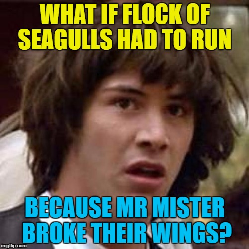 Little bit of 80's music... :) | WHAT IF FLOCK OF SEAGULLS HAD TO RUN; BECAUSE MR MISTER BROKE THEIR WINGS? | image tagged in memes,conspiracy keanu,flock of seagulls,mr mister,music,80s music | made w/ Imgflip meme maker