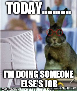 busy bunny | TODAY........... I'M DOING SOMEONE ELSE'S JOB | image tagged in busy bunny | made w/ Imgflip meme maker