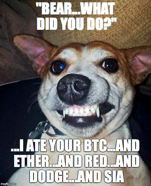 dog | "BEAR...WHAT DID YOU DO?"; ...I ATE YOUR BTC...AND ETHER...AND RED...AND DODGE...AND SIA | image tagged in bitcoin | made w/ Imgflip meme maker