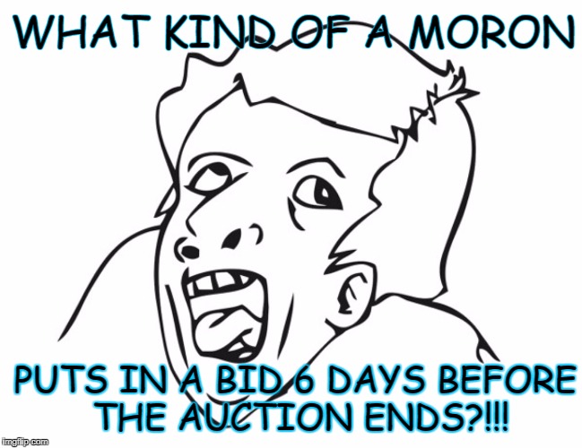 Ebay idiot | WHAT KIND OF A MORON; PUTS IN A BID 6 DAYS BEFORE THE AUCTION ENDS?!!! | image tagged in moron,ebay,online auction,dumbass | made w/ Imgflip meme maker