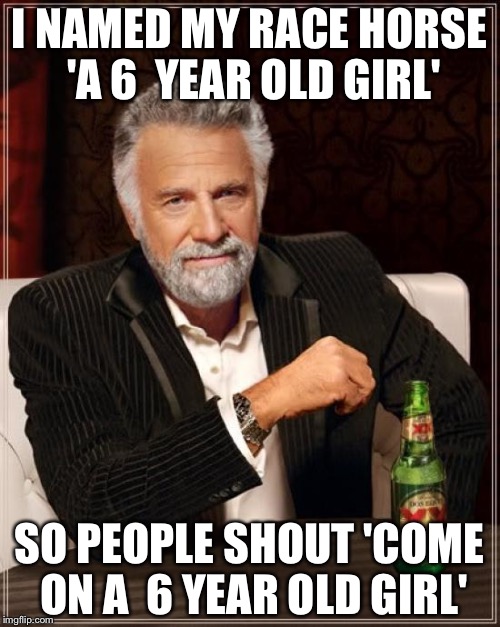 The Most Interesting Man In The World | I NAMED MY RACE HORSE 'A 6  YEAR OLD GIRL'; SO PEOPLE SHOUT 'COME ON A  6 YEAR OLD GIRL' | image tagged in memes,the most interesting man in the world | made w/ Imgflip meme maker