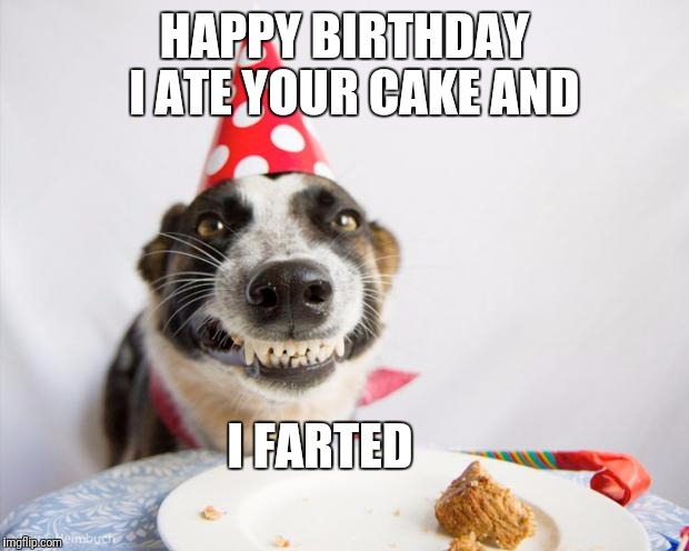 birthday dog | HAPPY BIRTHDAY  I ATE YOUR CAKE AND; I FARTED | image tagged in birthday dog,dog,dogs,happy birthday,birthday | made w/ Imgflip meme maker